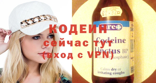 хмурый Алексин