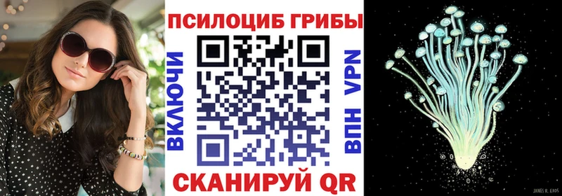 продажа наркотиков  Похвистнево  Псилоцибиновые грибы Magic Shrooms 