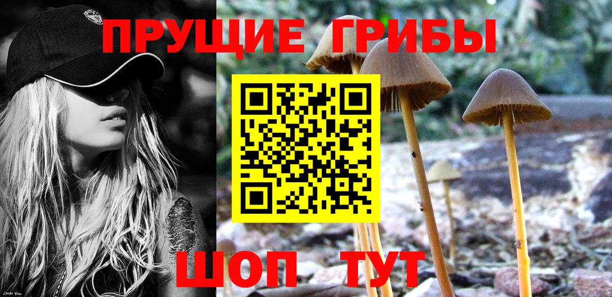 Галлюциногенные грибы Magic Shrooms  Галлюциногенные грибы ЛСД  Вход с VPN  Похвистнево 