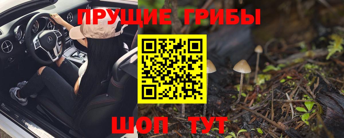 Псилоцибиновые грибы мухоморы Похвистнево